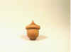 acorn.jpg (53912 bytes)
